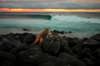 Ecuador and the Galapagos Islands