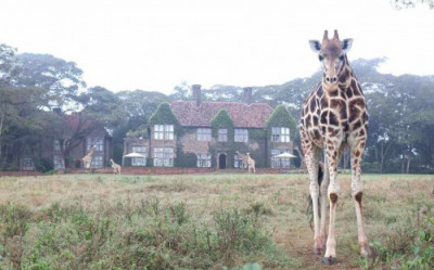 Giraffe Manor 5*