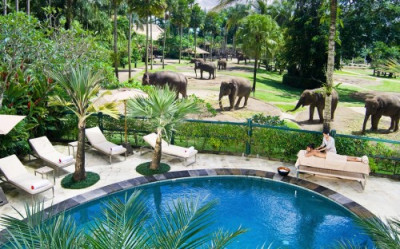 Elephant Safari Park Lodge&nbsp;5*