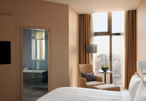 1 BEDROOM EXECUTIVE SUITE