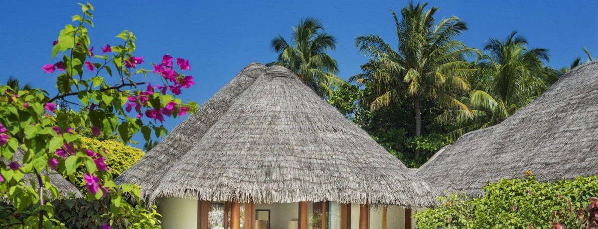 ISLAND COTTAGE