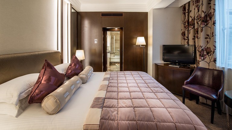 SIGNATURE QUEEN ROOM