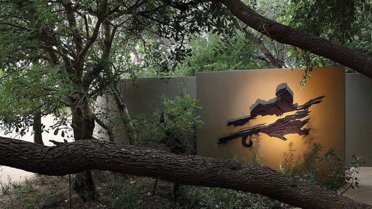 TREE CAMP