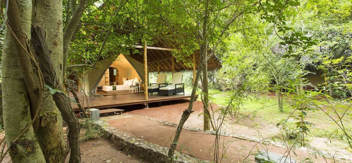 LUXURY TENT