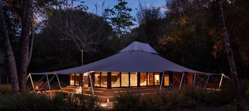 JUNGLE TENT