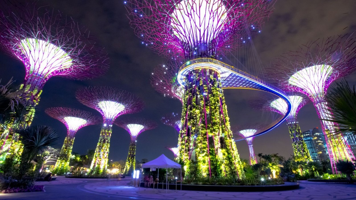 Experience the Ambitious Charms of Singapore